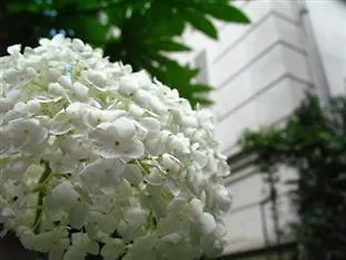Particulier Montmartre Hotell